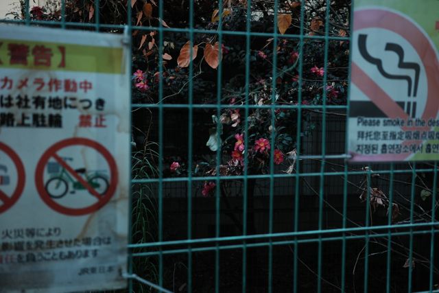 あれもこれも禁止